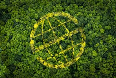 Empresa de seguridad obtiene destacada evaluación ambiental