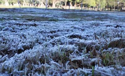 Anuncian ingreso de masa de aire frío y hasta escarchas 
