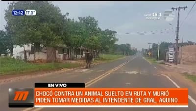 Animal suelto provoca un choque fatal en General Aquino