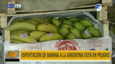 Exportadores de bananas en vilo por impagos argentinos