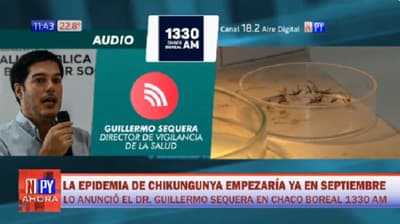 Advierten que epidemia de chikungunya ya empezaría en septiembre