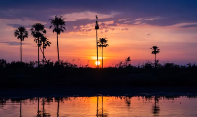 Convocan proyectos para proteger humedales en Paraguay