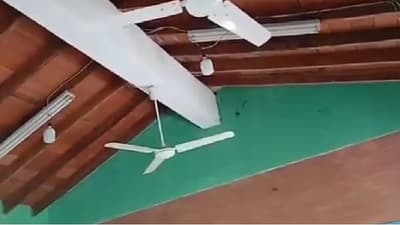 Aula en Coronel Bogado afectada por murciélagos