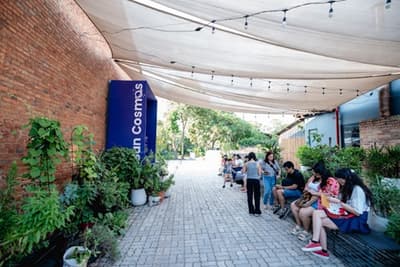 MuCi lanza actividades científicas al aire libre