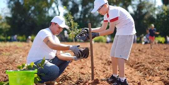 Invitan a plantar árboles nativos en Yaguarón