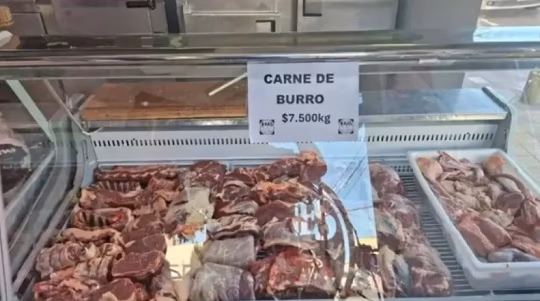 Carne de burro en Argentina: plan piloto busca alternativa más barata