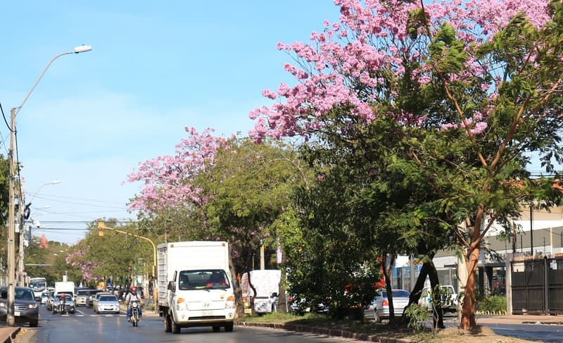 Soleado y sin lluvias para el resto de la semana