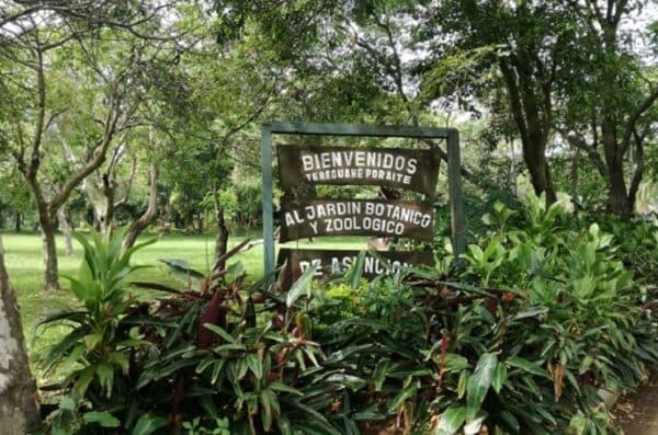Proponen cerrar por 60 días el Jardín Botánico