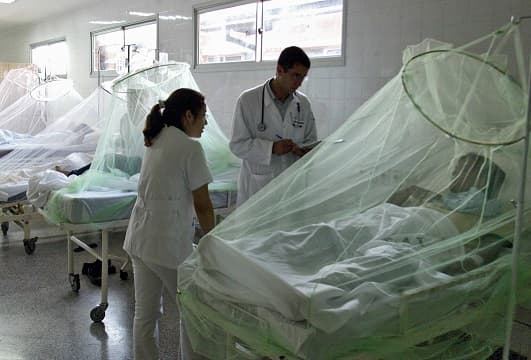 Mujer fallece en PJC con sospecha de dengue grave