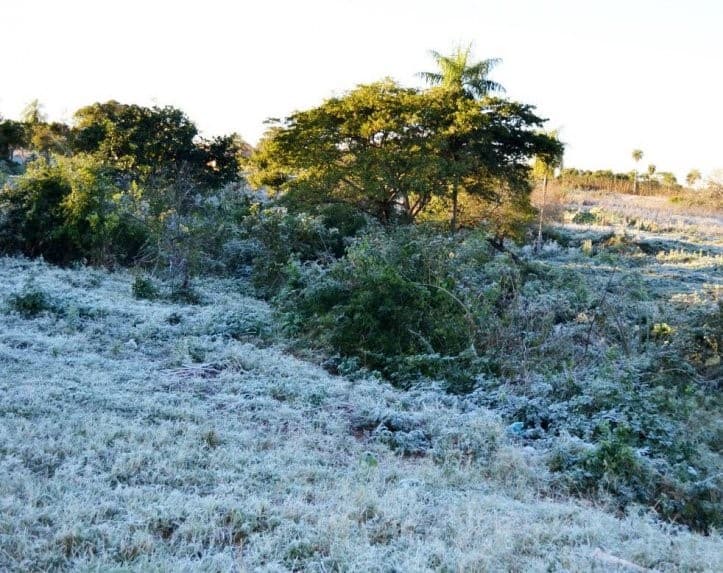 Escarchas y frío intenso marcan el inicio de julio
