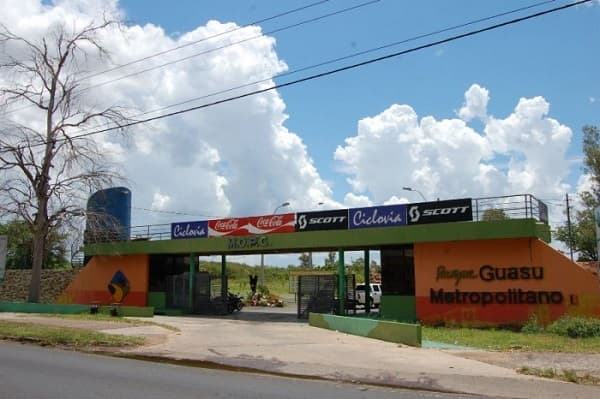 Terror en el Parque Guasu: Intento de abuso a plena luz del día