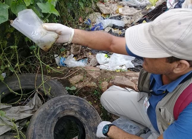 Emergencia ambiental declarada por aumento de dengue y chikungunya