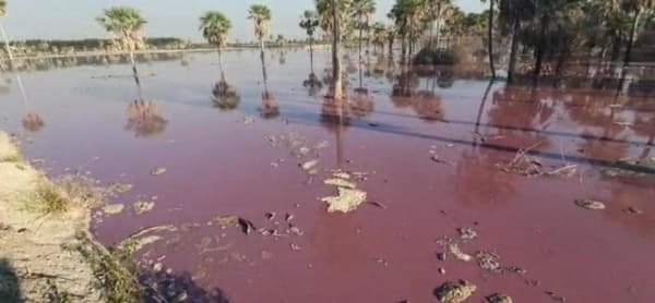 Fiscalía recuerda que curtiembre está por someterse a juicio