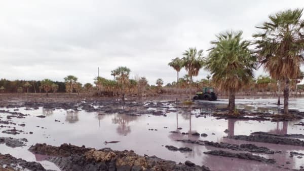Mades dice que “líquido rosa” no sale de propiedad de curtiembre