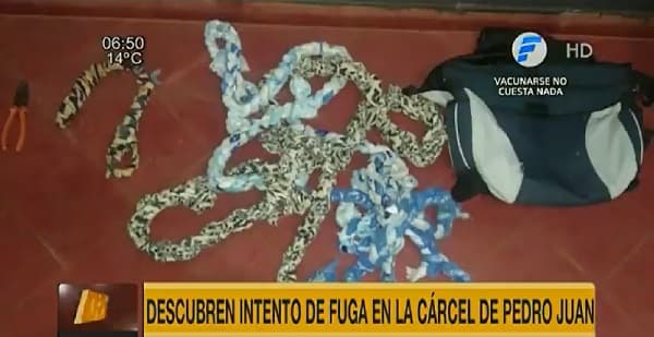 Frustran fuga en la cárcel de Pedro Juan y detienen a guardia