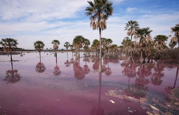 Curtiembre operaba pese a suspensión del Mades, confirman