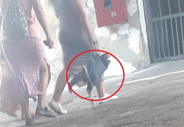 Riña de gallos genera intervención de Tacumbú