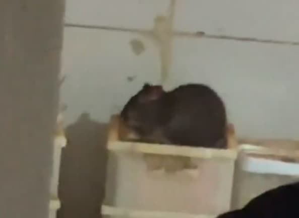 Long Bar: Escrache, comunicado y memes