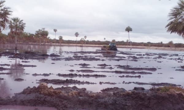 Mades suspende licencia ambiental a curtiembre