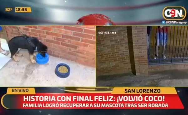 “Comprador de buena fe” devuelve a Coco, el cachorro robado