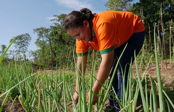 Fundación invita a participar de actividades relacionadas a agricultura familiar local