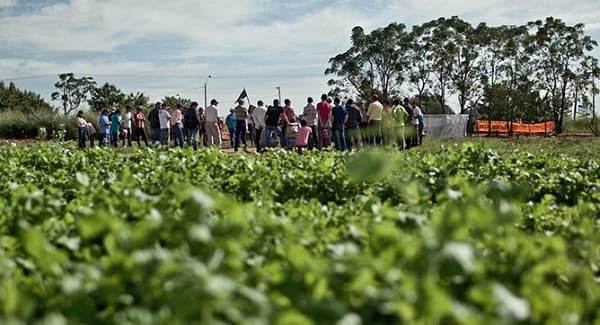 Comité de ONU concluye que fumigación violó derechos de comunidad indígena