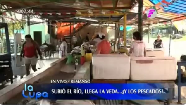 Remanso: Invitan a adquirir pescados a bajo costo antes del inicio de veda