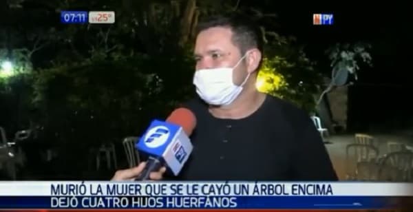Embarazada fallece tras sufrir caída de árbol