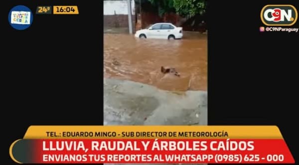 Temporal derriba árboles y genera raudales en Central