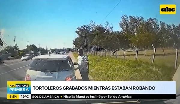 Cámara capta actuar de tortoleros