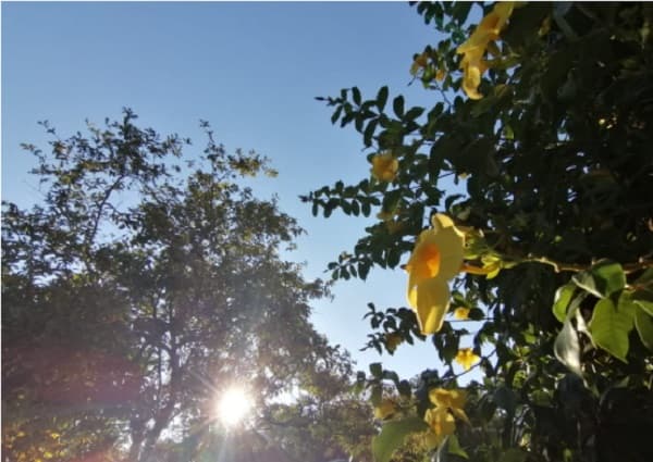 Pronostican domingo caluroso con máxima de 41ºC
