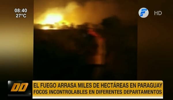 Fuego consume varias hectáreas en nuestro país, reportan
