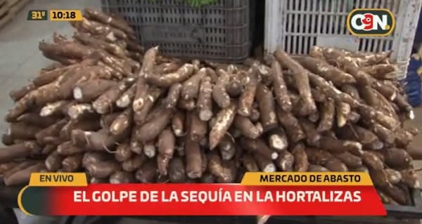 Sequía produce encarecimiento de hortalizas, dicen vendedores