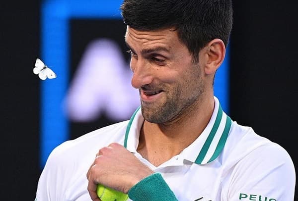 Deniegan ingreso a Australia a Novak Djokovic