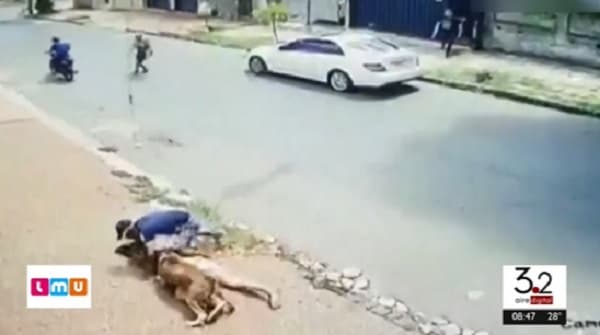 Perro frustra asalto a menor de edad en Sajonia