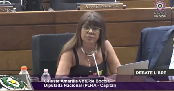 Diputada expone conexión de Cartes con “narcos”