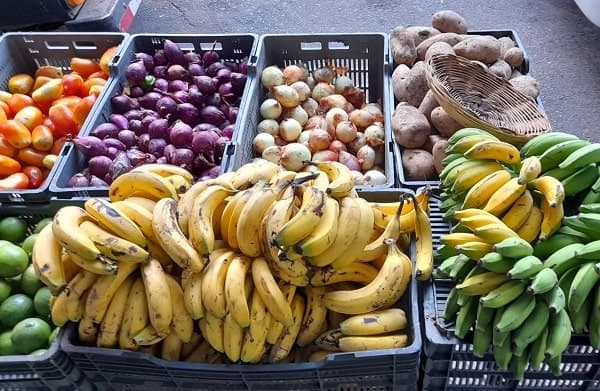 Invitan a feria agroecológica este sábado en la Plaza Italia