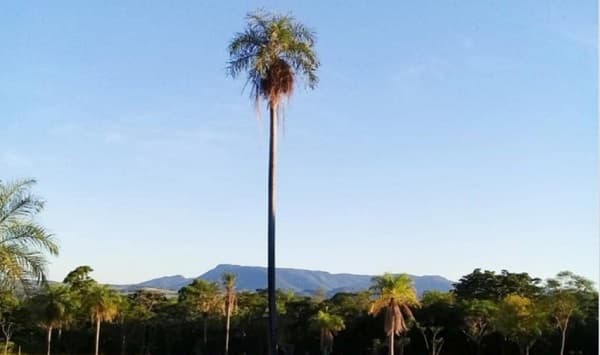 Asaltan posada en Colonia Independencia