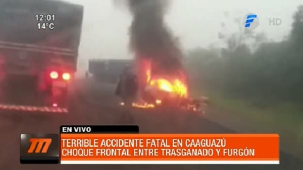 Conductor fallece en choque frontal contra transganado en Caaguazú