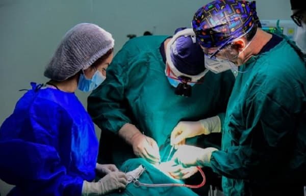 Trasplantados buscan concienciar sobre la donación de órganos y tejidos