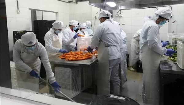 Empresa de alimentos invierte en tecnología para elevar calidad de productos