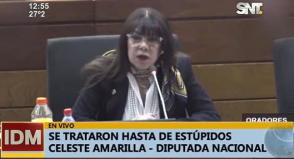 Diputados se tratan de “estúpidos” durante sesión