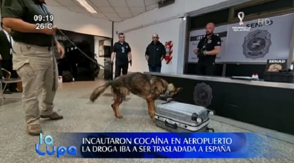 Incautan cuatro kilos de cocaína en el Aeropuerto Silvio Pettirossi