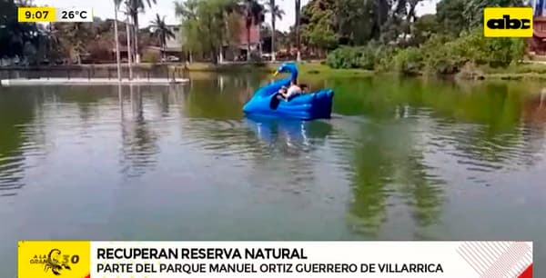 Municipalidad de Villarrica recupera emblemático predio