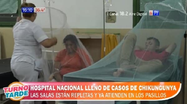 Casos de chikungunya abarrotan Hospital Nacional y atención se registra en pasillos