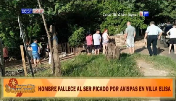Joven muere por ataque de avispas en Villa Elisa