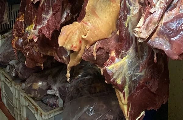 Intervienen carnicerías en Luque por venta de carne de caballo en vez de vaca