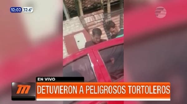 Detienen a “tortoleros” que operaban en varios puntos del país