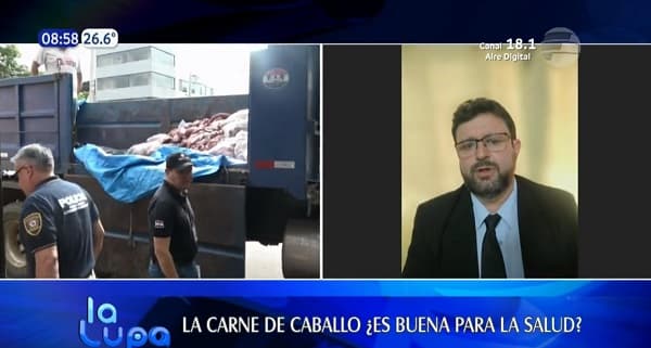 La carne equina tiene menos grasa y se digiere más rápido, según nutricionista 