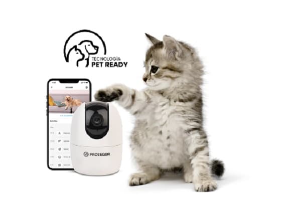 Empresa de seguridad lanza servicio para mascotas